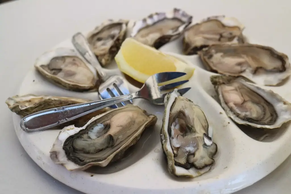 oysters-6805970_1920