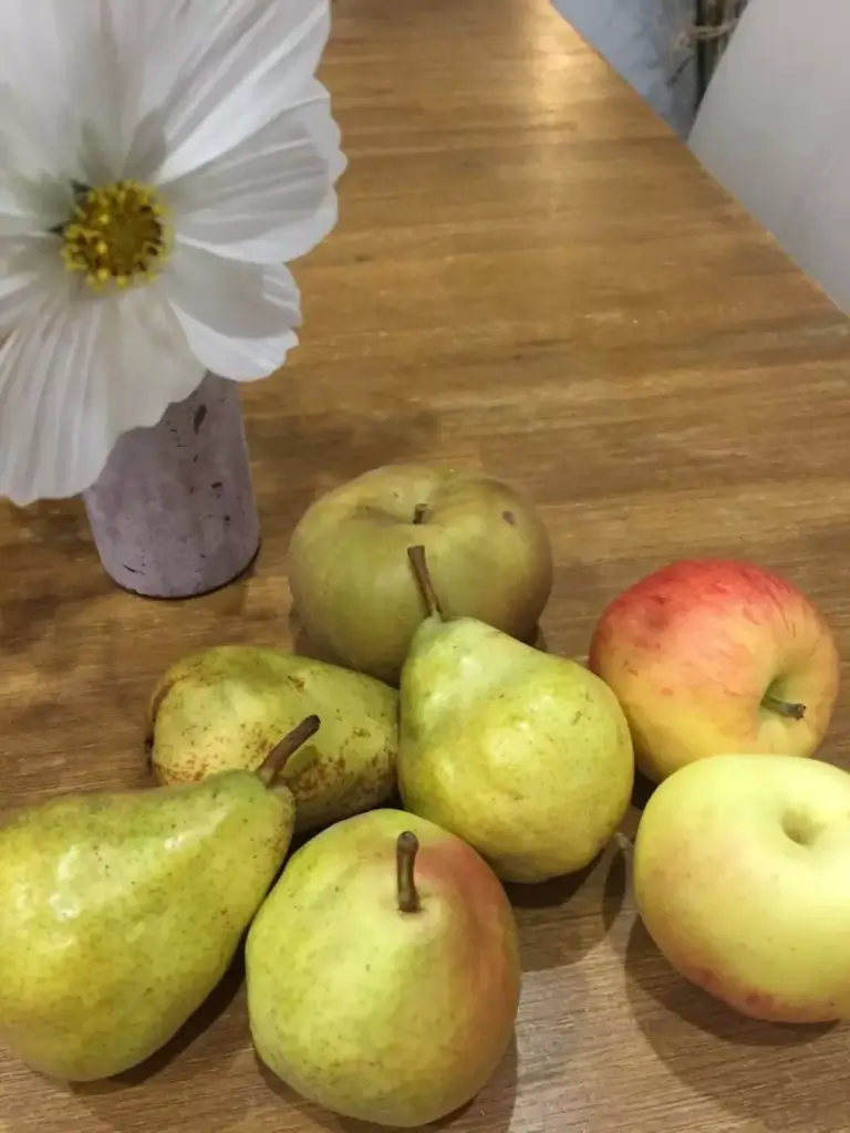 Poire Stéphane